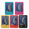 Kormesic Premium Essence Facial Mask